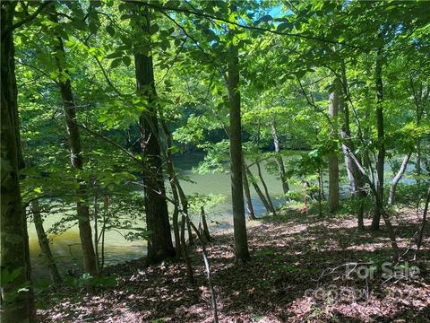 Bridgeview 119 Court #119, Norwood, NC 28128