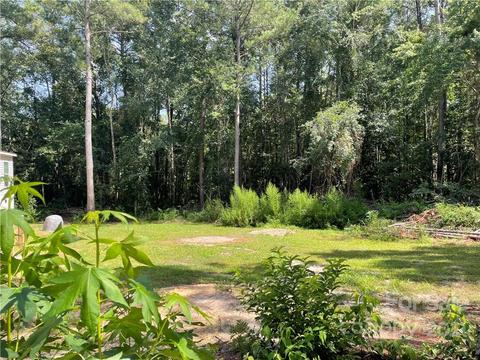 385 Single Tree Ln, Cheraw, SC 29520 photo 14