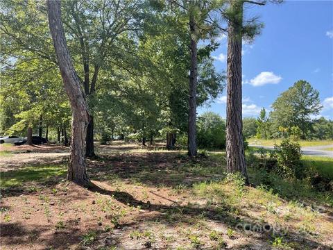 385 Single Tree Ln, Cheraw, SC 29520 photo 15