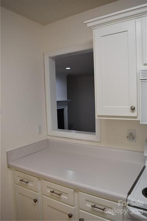 21171 Cold Spring Ln, Cornelius, NC 28031 photo 26