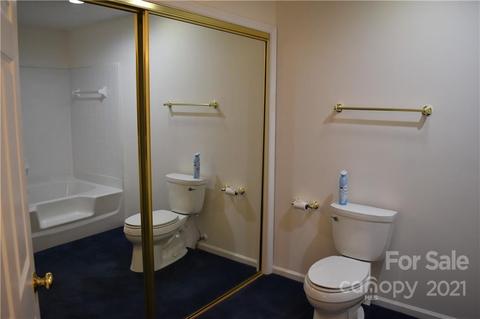 21171 Cold Spring Ln, Cornelius, NC 28031 photo 23