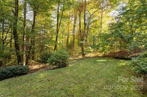 138 Poplar Loop Dr, Flat Rock, NC 28731 photo 45