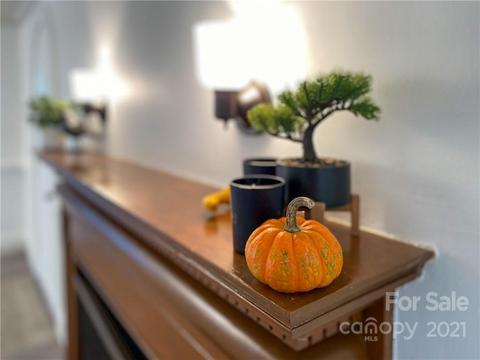 1735 Ridge Rd E, Salisbury, NC 28144 photo 20