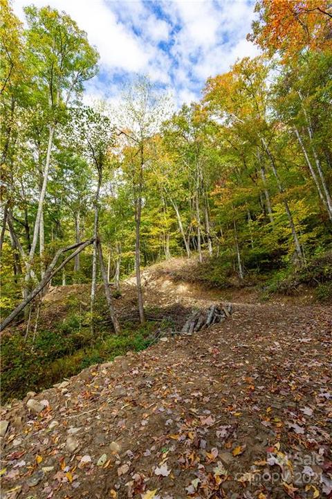 20 Black Rock Road #20, Qualla, NC 28719 photo 3