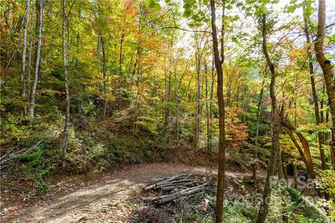 20 Black Rock Road #20, Qualla, NC 28719 photo 9