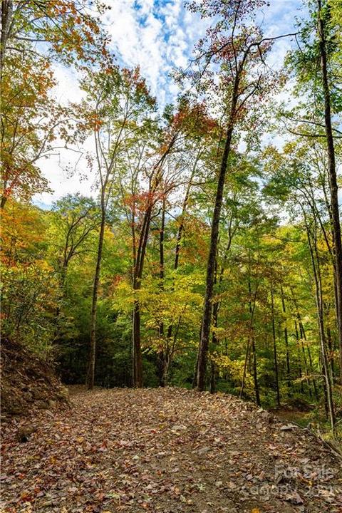 20 Black Rock Road #20, Qualla, NC 28719 photo 4