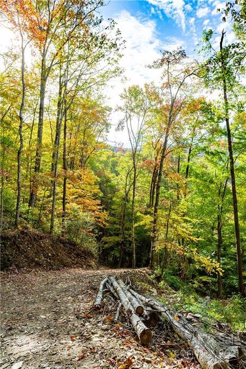 20 Black Rock Road #20, Qualla, NC 28719 photo 5
