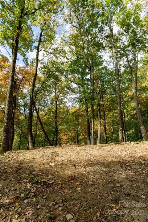 20 Black Rock Road #20, Qualla, NC 28719 photo 6