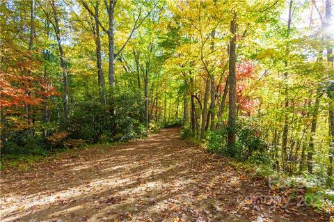 19 Black Rock Road #6/18/19, Qualla, NC 28719