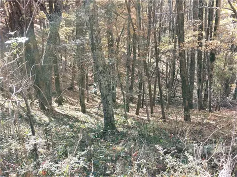 El Miner Drive, Mars Hill, NC 28754