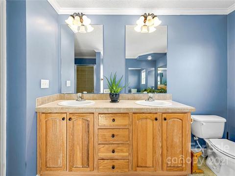 273 Divide Loop, Flat Rock, NC 28731 photo 15