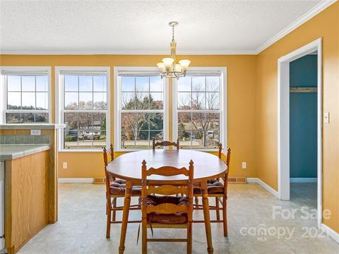 273 Divide Loop, Flat Rock, NC 28731 photo 9
