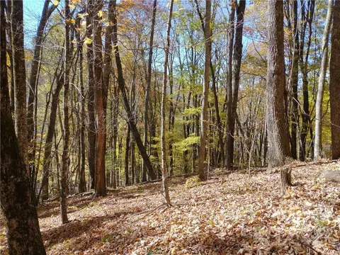 El Miner Drive, Mars Hill, NC 28754