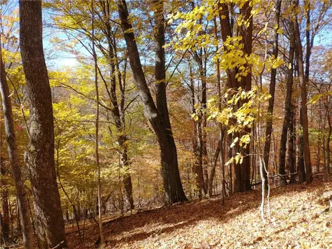 El Miner Drive, Mars Hill, NC 28754
