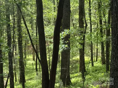 9999 Sassafras 4 Rd #4, Cedar Mountain, NC 28718