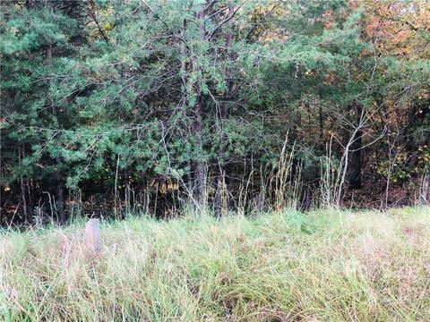 12012 Mariners Cove Ct, Lancaster, SC 29720 photo 2