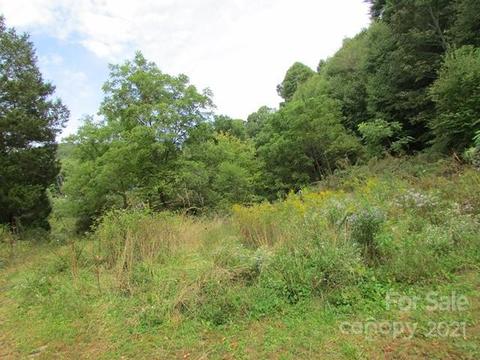 49 Loop Rd, Spruce Pine, NC 28777 photo 11