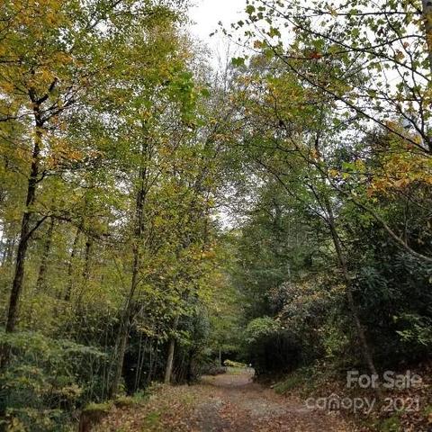 49 Loop Rd, Spruce Pine, NC 28777 photo 7