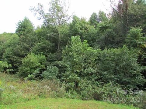 49 Loop Rd, Spruce Pine, NC 28777 photo 14