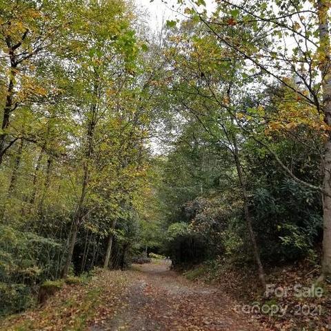 49 Loop Rd, Spruce Pine, NC 28777 photo 6