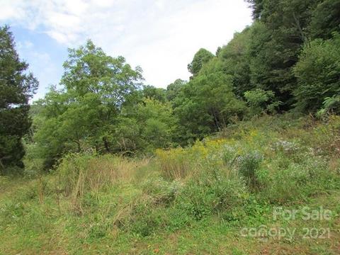 49 Loop Rd, Spruce Pine, NC 28777 photo 10