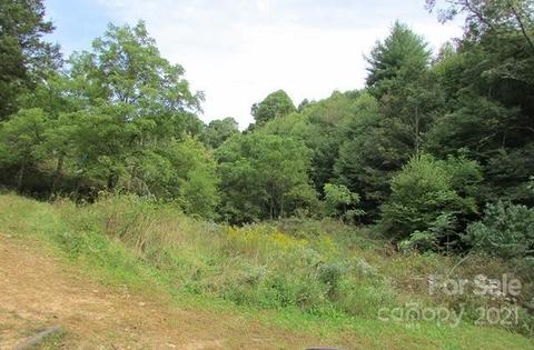 49 Loop Rd, Spruce Pine, NC 28777 photo 13