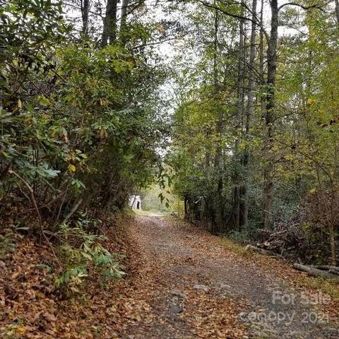 49 Loop Rd, Spruce Pine, NC 28777 photo 4