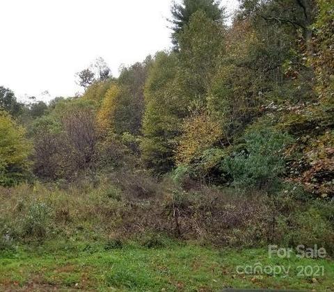 49 Loop Rd, Spruce Pine, NC 28777 photo 1