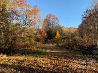 Pleasant Grove Total: 20+ Acres Road #TOTAL: 20+ ACRES, Hendersonville, NC 28739