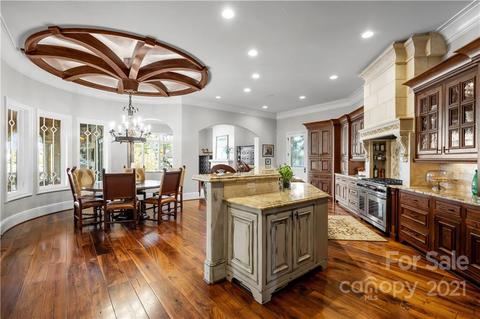 19124 Peninsula Point Dr, Cornelius, NC 28031 photo 20