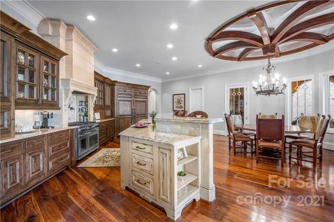 19124 Peninsula Point Dr, Cornelius, NC 28031 photo 22