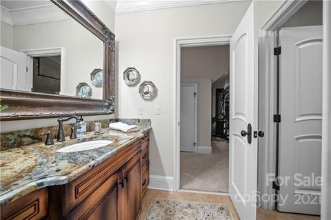 19124 Peninsula Point Dr, Cornelius, NC 28031 photo 44