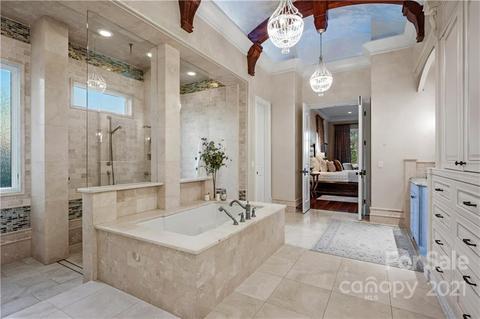 19124 Peninsula Point Dr, Cornelius, NC 28031 photo 28