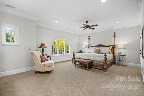 19124 Peninsula Point Dr, Cornelius, NC 28031 photo 43