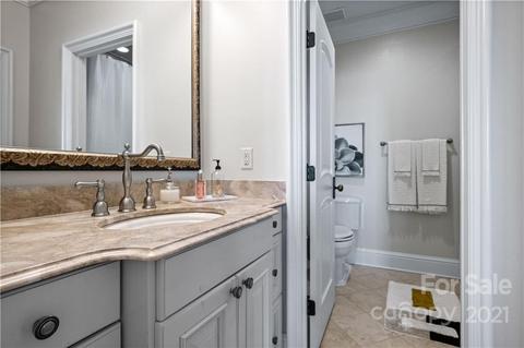 19124 Peninsula Point Dr, Cornelius, NC 28031 photo 40