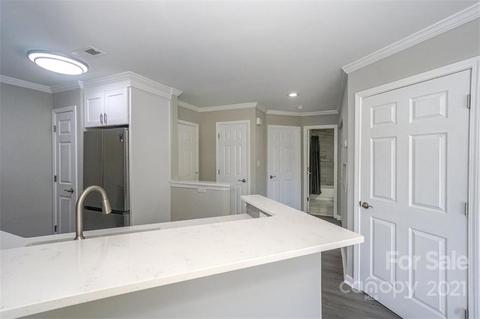 18879 Vineyard Point Ln, Cornelius, NC 28031 photo 8