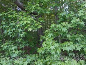 1035 Timber Spring Ln, Salisbury, NC 28147