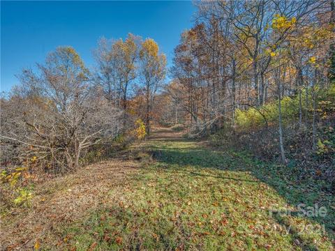 545 Summit Rd, Tryon, NC 28782 photo 43