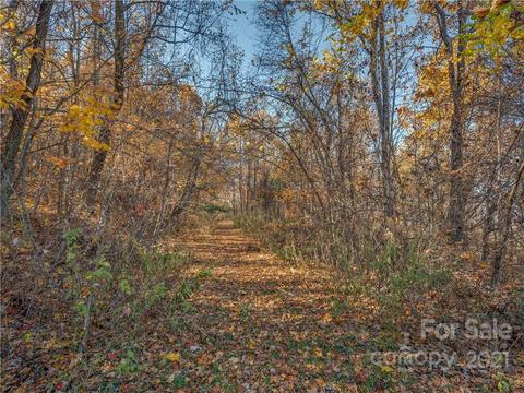 545 Summit Rd, Tryon, NC 28782 photo 40