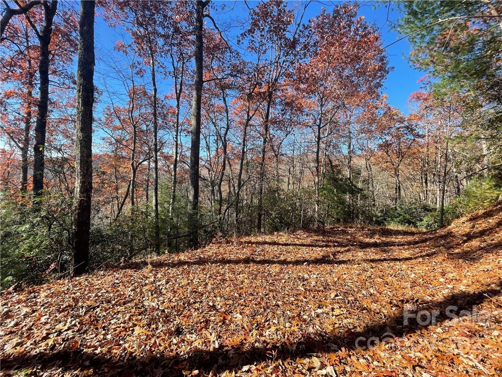 134 Green Hollow Ln Unit 134  