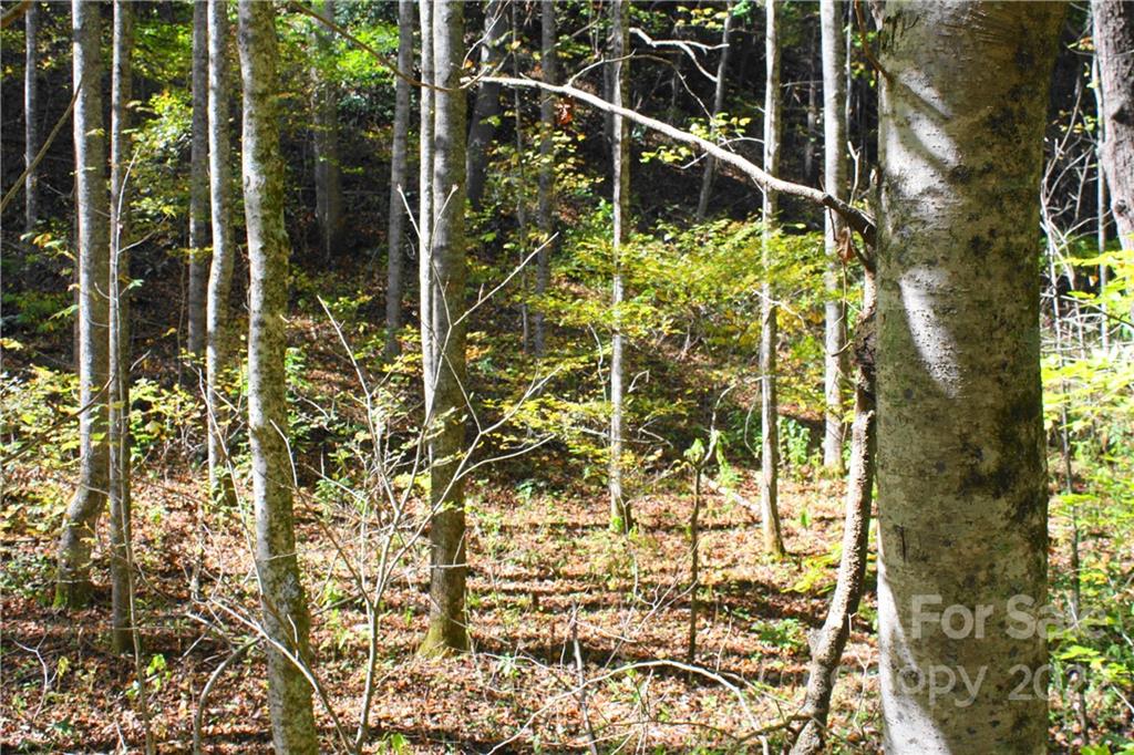 444 Culvin Creek 19986 Acres Rd Unit 199 86 ACRES  