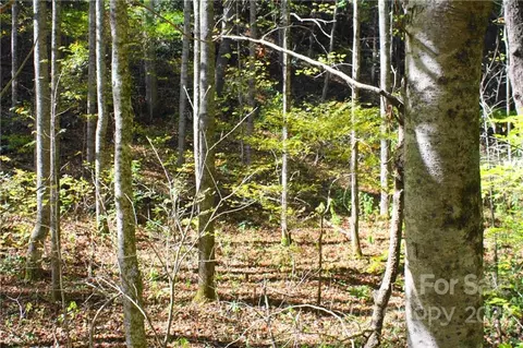 444 Culvin Creek 145 Acres Rd #145 ACRES, Marshall, NC 28753