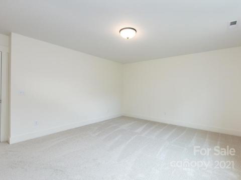 12 Reta Rd, Fairview, NC 28730 photo 20