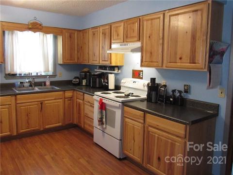 165 Mount Eire Dr, Sylva, NC 28779 photo 2