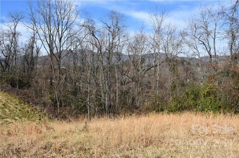 473 Phillipsville Loop, Canton, NC 28716 photo 4
