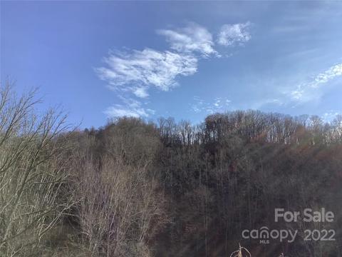 00 Ponder Creek Rd, Mars Hill, NC 28754