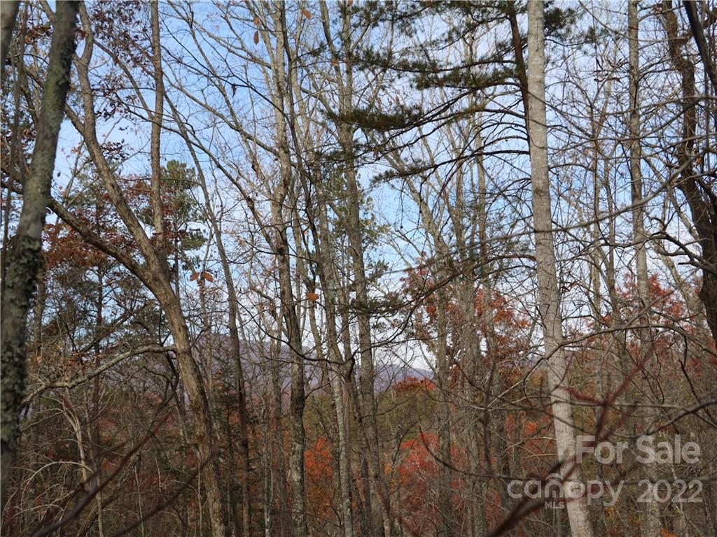 0 Opossums Rd Unit Lot 118