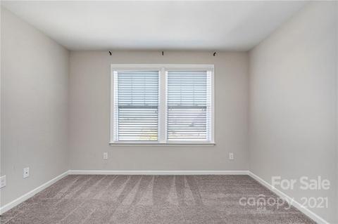 13003 Claudel Ct, Davidson, NC 28036 photo 17