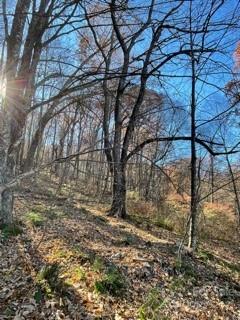 Lot 90 Avalon Gap Trl