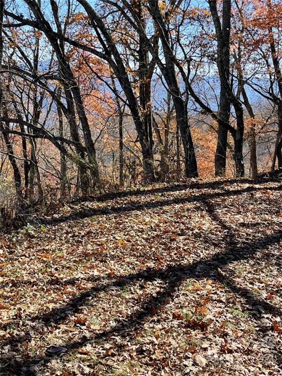 Lot 92 Avalon Gap Trl  